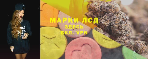 дмт Гусев
