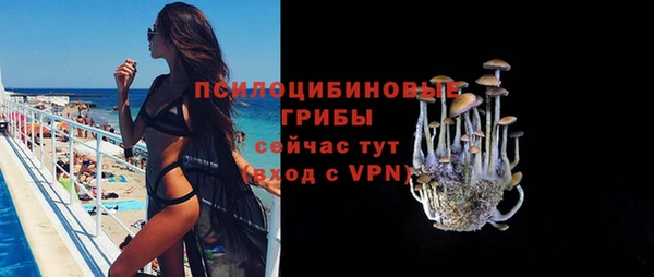 дмт Гусев