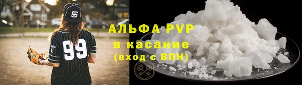 дмт Гусев