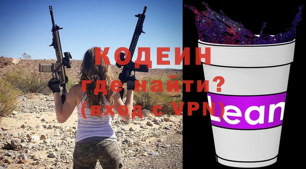 дмт Гусев