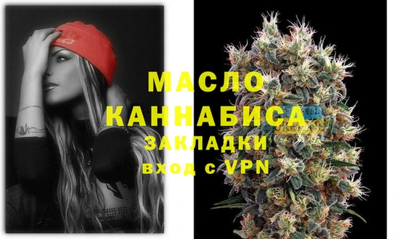 дмт Гусев