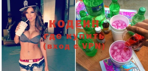 дмт Гусев