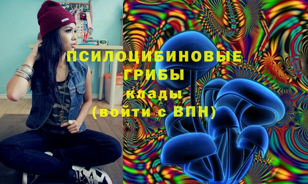 эйфоретик Гусиноозёрск