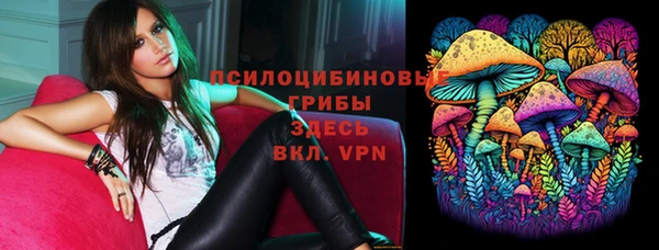 не бодяженный Гусь-Хрустальный