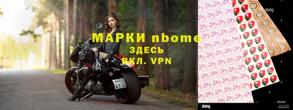 дмт Гусев