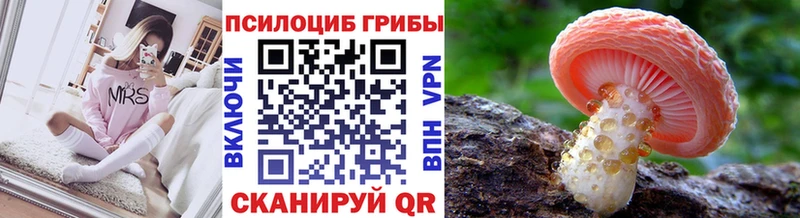 Купить  Змеиногорск  Псилоцибиновые грибы мухоморы 