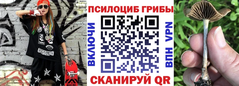 Псилоцибиновые грибы мицелий Змеиногорск