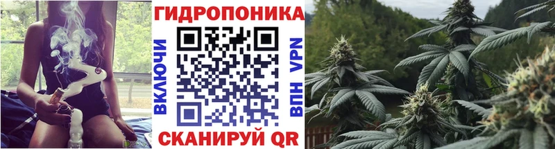 Шишки марихуана гибрид  Купить  Змеиногорск 